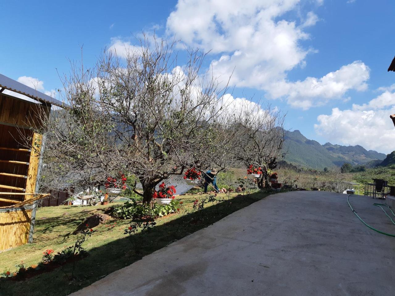 Bed and Breakfast Eco House Moc Chau Exterior foto